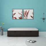 Gusto Multipurpose Diwan Single Bed