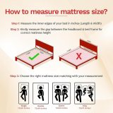 Kurlon Dual 4 Inch Mattress