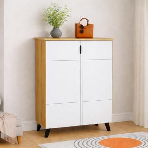 2-Door Engineered Wood Shoe Rack